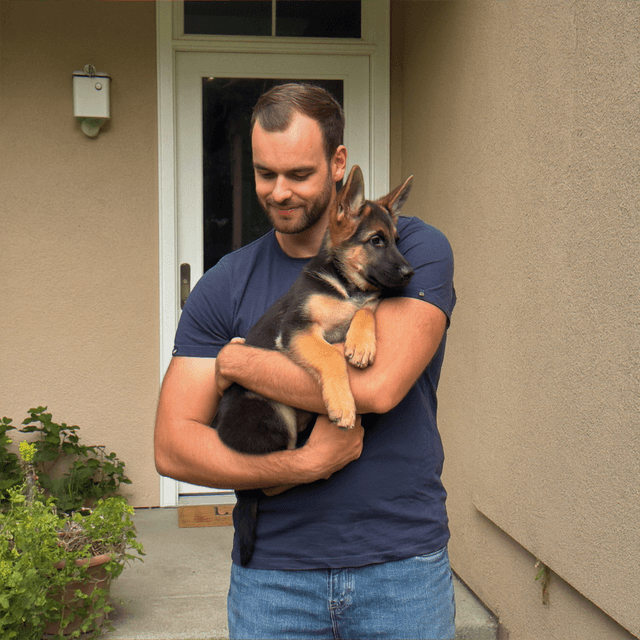 AI generated dating photo - dog