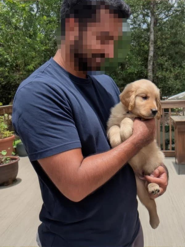 After transformation